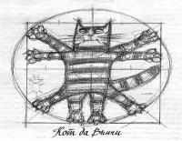 Фотография avandr